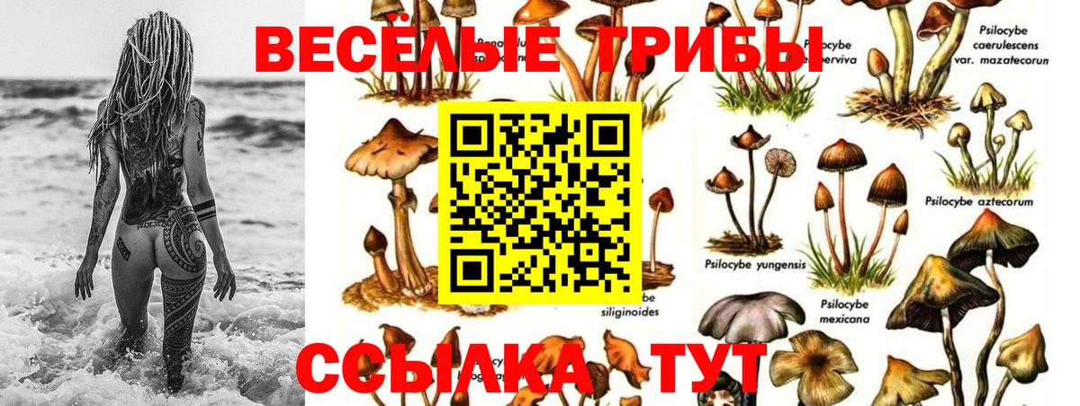 Псилоцибиновые грибы мицелий  Вход с VPN  Грязи 